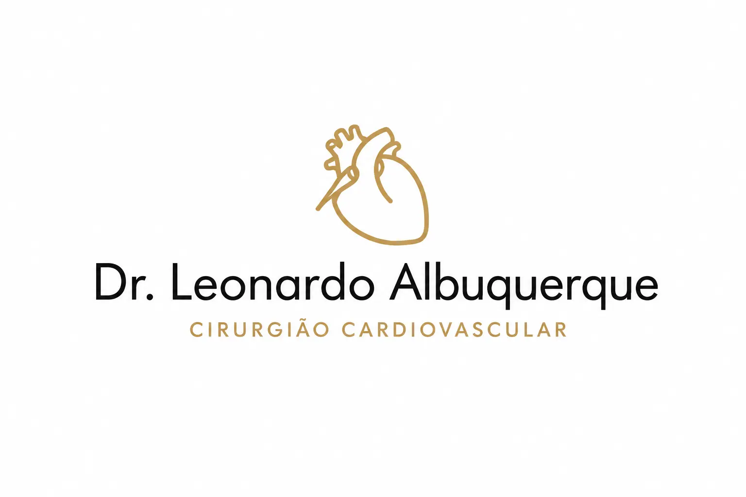 Dr Leonardo